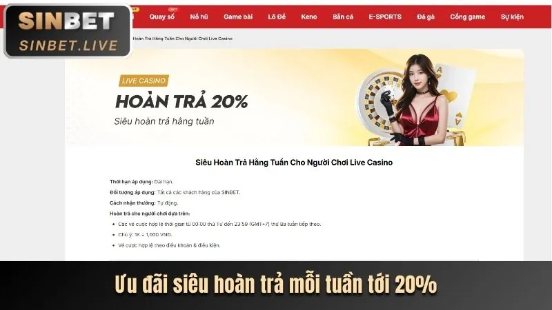Chương trình VIP 1bet win